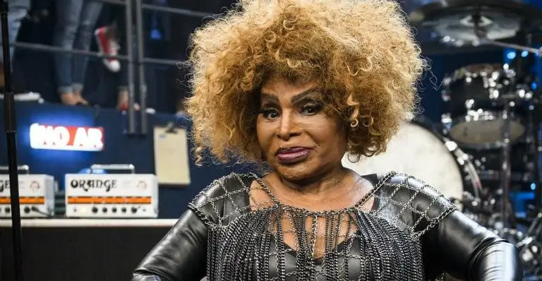 elza soares em show