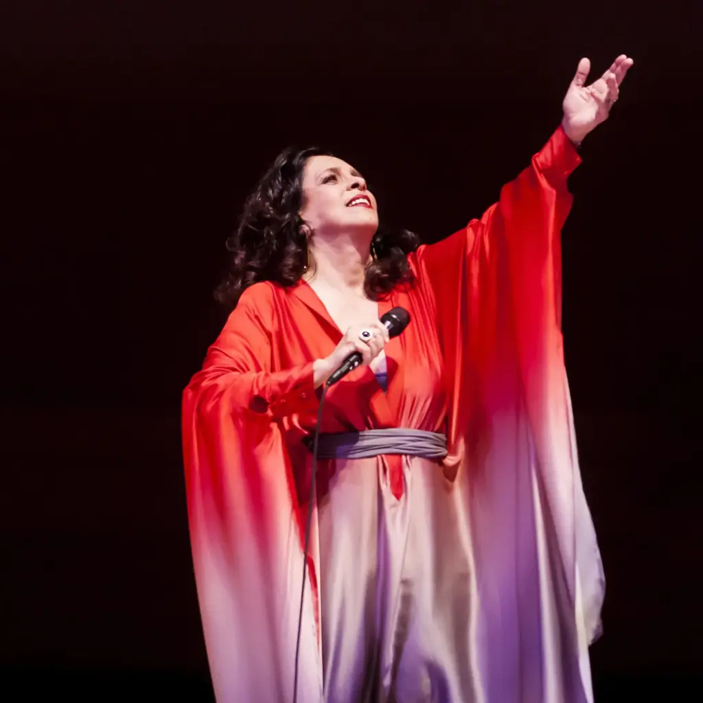 gal costa faz performance